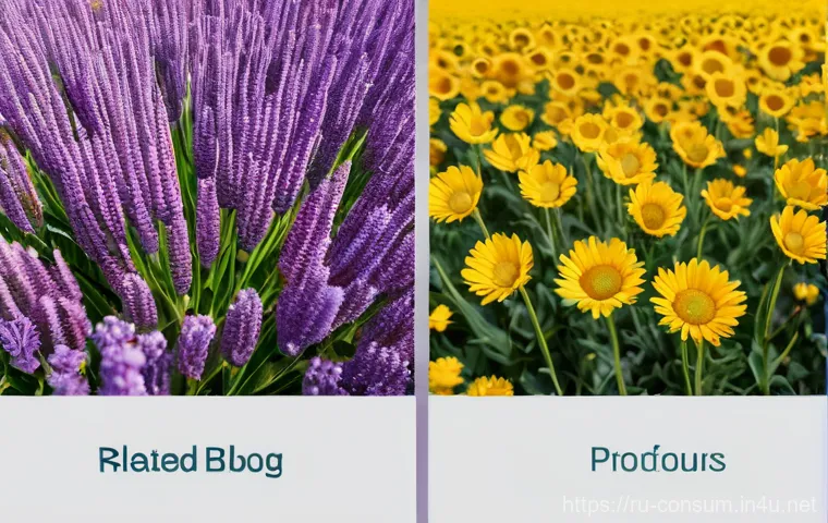 소비자 불만 처리 베스트 프랙티스 - Here are three detailed image prompts: